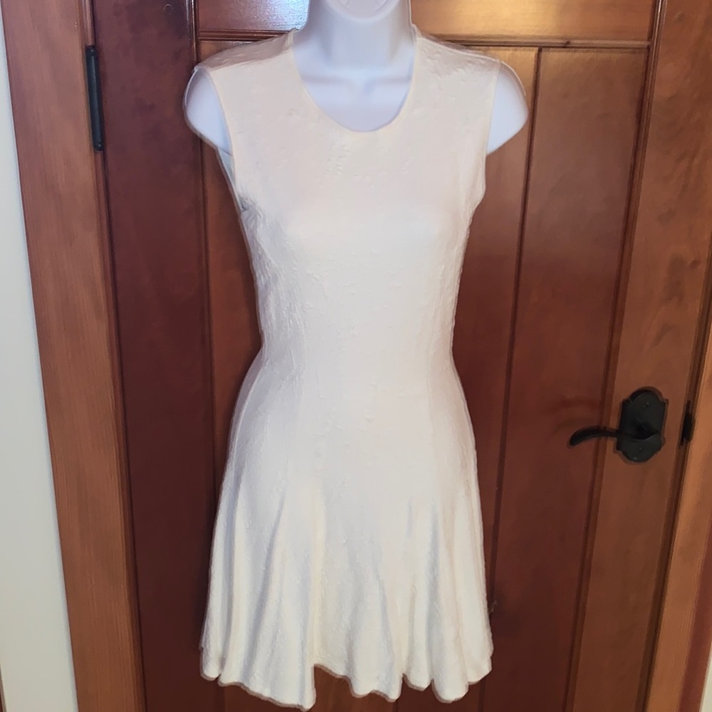 Torn by Ronny Kobo Dress
